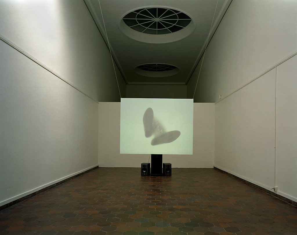 Out of sight - installation view (2004)